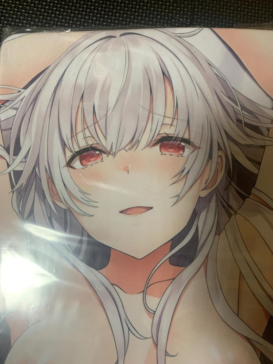 Used genuine body pillow cover Seinagi (Shimofuri) Blueprint of Daydream