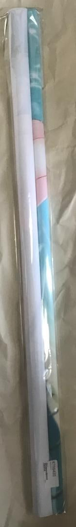 Korone Inugami Swimsuit B2 Tapestry hololive Shark Fin RUINON C100