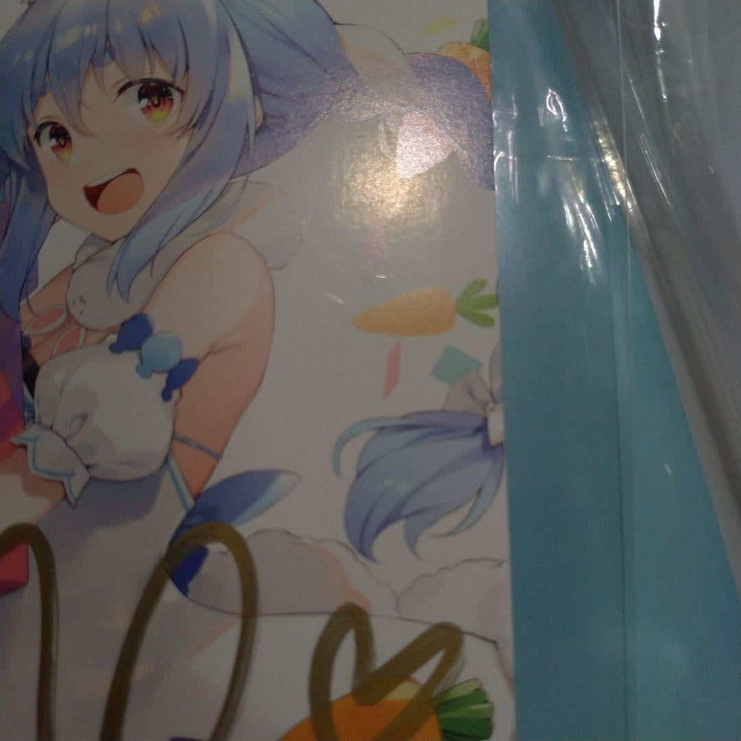 Usada Pekora 1st Anniversary Authentic Autographed Message Postcard Hololive