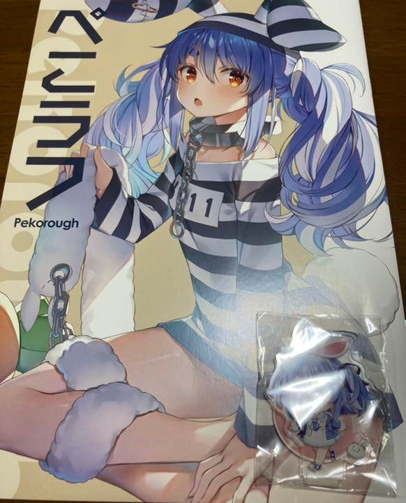 Comiket c100 Wire Frame New Book Set Hololive Pekora Usada