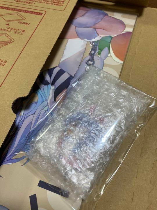 Comiket c100 Wire Frame New Book Set Hololive Pekora Usada