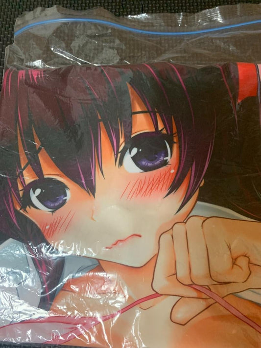 Takumi Makura Kyoko Osanai (URAN) used genuine body pillow cover