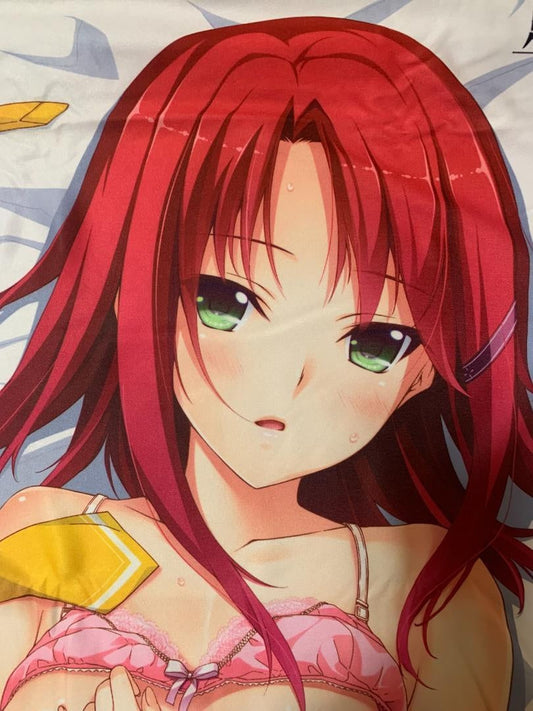 ★02 purchase bonus system body pillow cover used genuine product