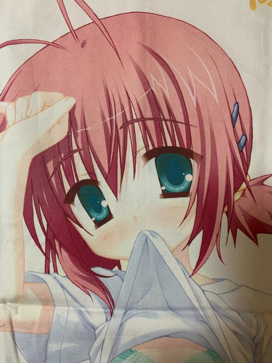 ★05 purchase bonus system body pillow cover used genuine product