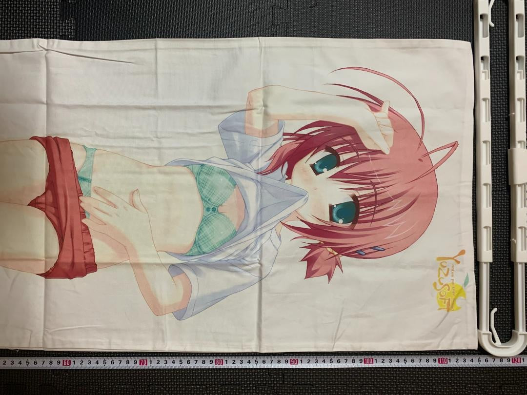 ★05 purchase bonus system body pillow cover used genuine product