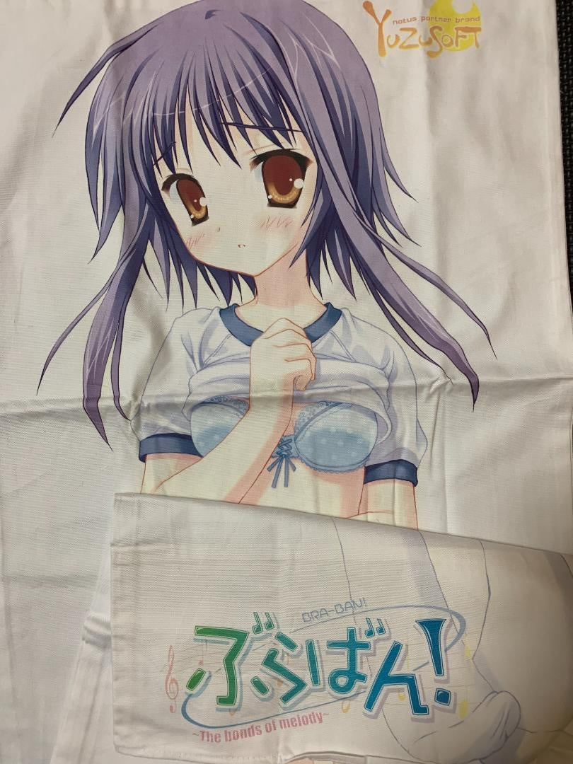 ★05 purchase bonus system body pillow cover used genuine product
