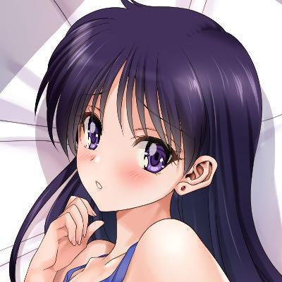 [Limited order] Sailor Moon Rei Hino Body Pillow Cover (Mitarashi Club)