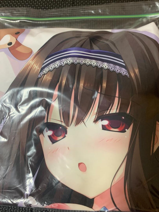 Used genuine body pillow cover Kanryoji Himesui Hoshi no Oto Sanctuary (Naruse Hirofumi)