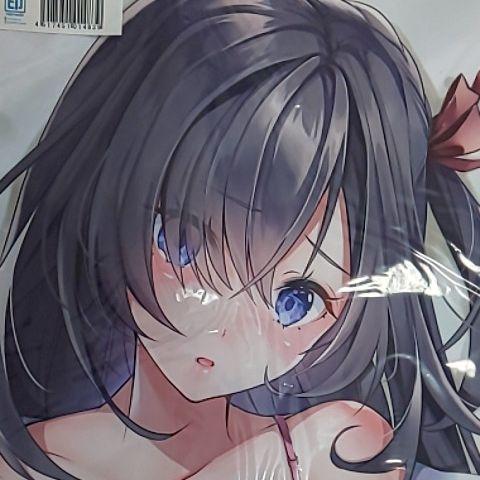 Genuine/New Japanese School Girl Zukan Akatsuki Hijiri Okumura Shii Dakimakura Cover