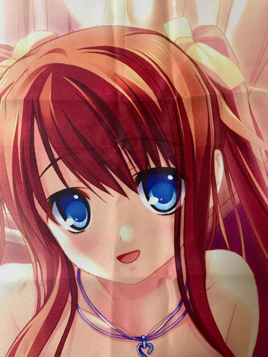 ★06 purchase bonus system body pillow cover used genuine product