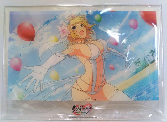 Senran Kagura Ryona Shinobi Master NEW LINK Acrylic Board