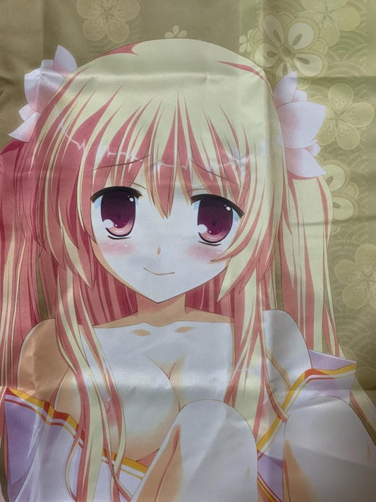 ★07 purchase bonus system body pillow cover used genuine product