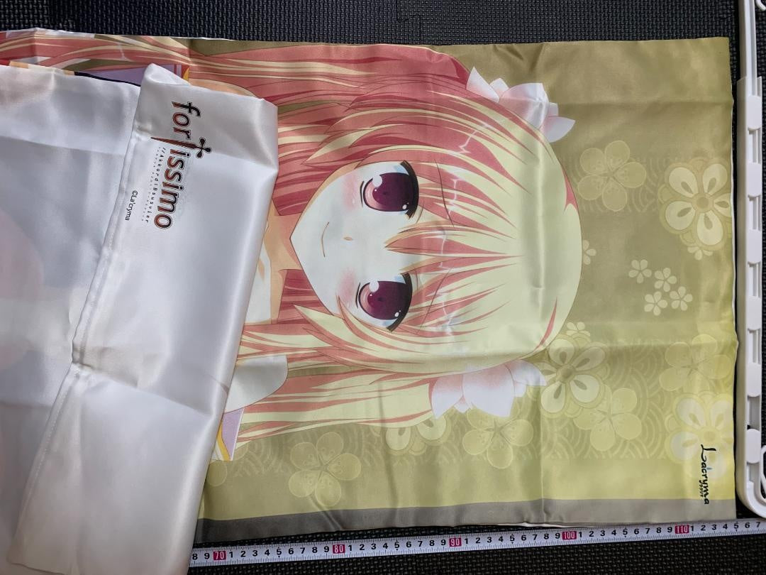 ★07 purchase bonus system body pillow cover used genuine product