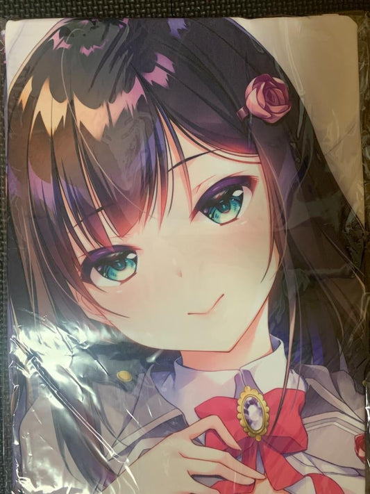 Junrei "Hoshi no Maiden and Rikka no Sisters" ensemble unopened genuine body pillow cover