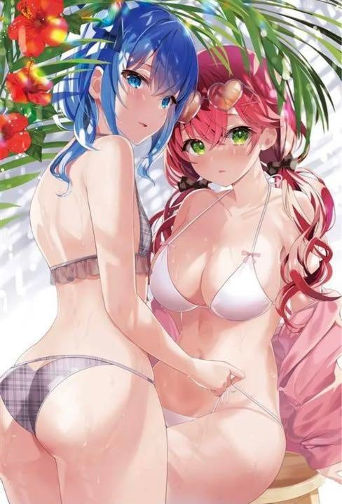 hololive Hoshimachi Suisei Sakura Miko B2 Tapestry Mikomet Swimsuit Outfit