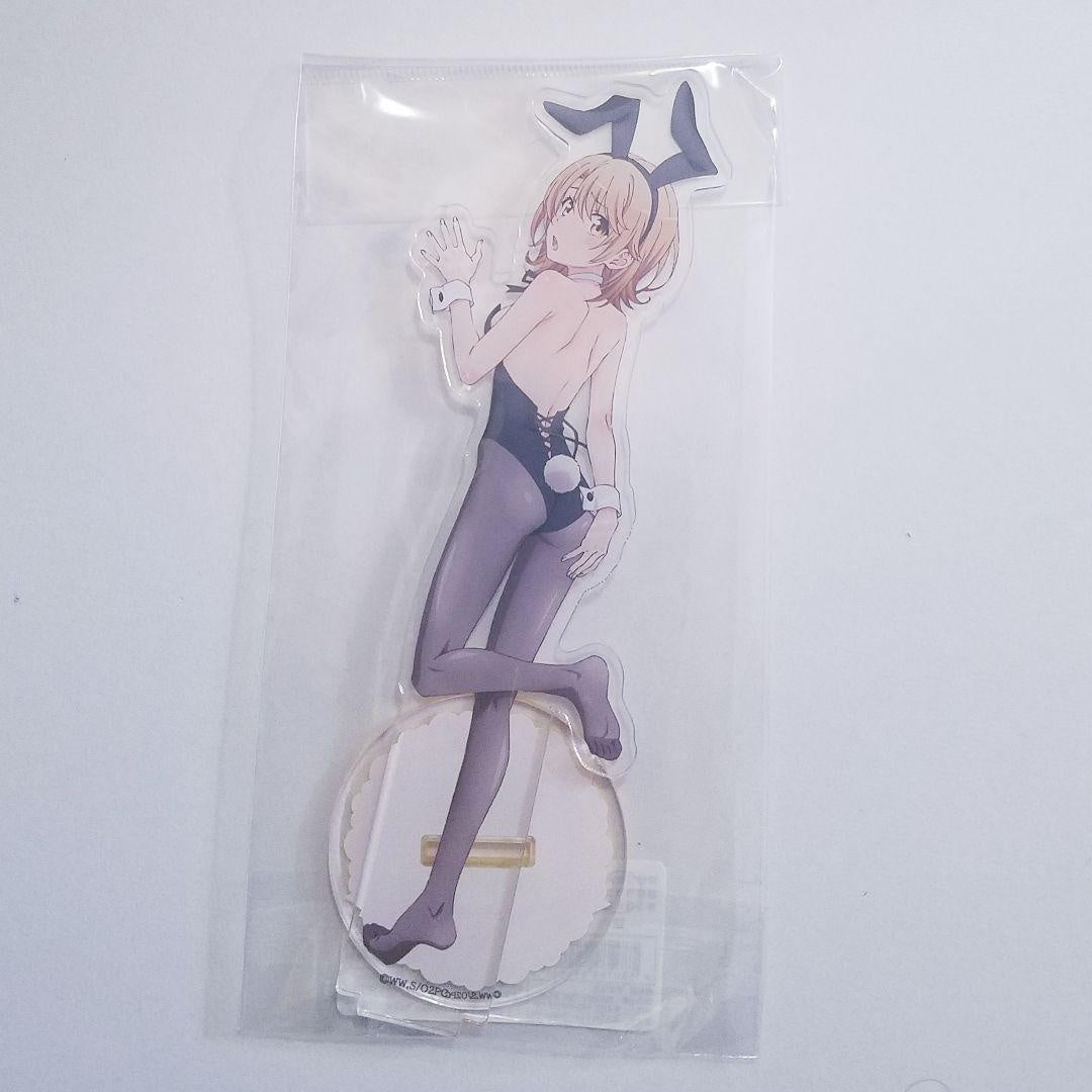 M My Youth Romantic Comedy Is Wrong, As I Expected Bunny Acrylic Stand Iroha
